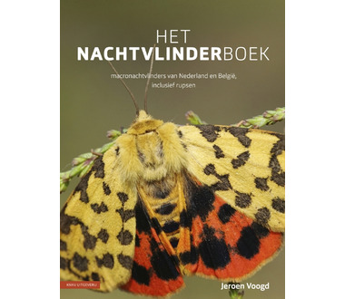 knnv_uitgeverij_nachtvlinderboek_voogd[1].jpg